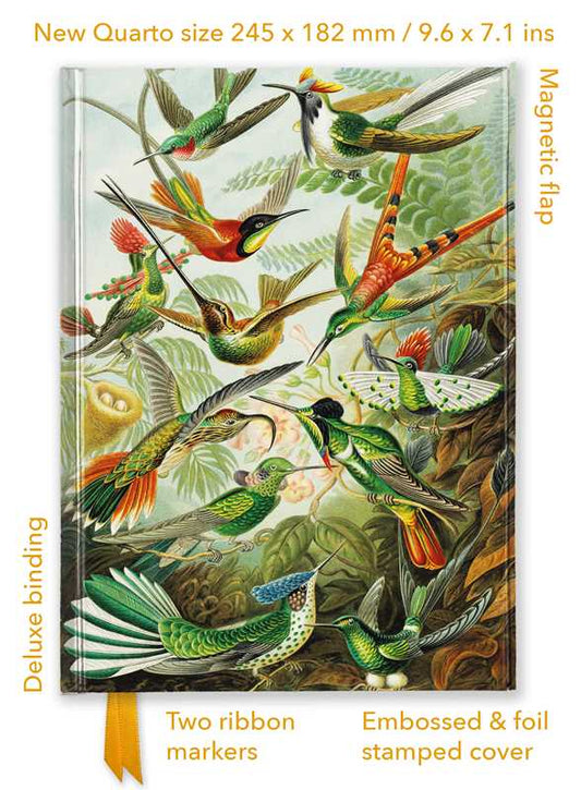 Ernst Haeckel: Hummingbirds (Foiled Quarto Journal) Notebook FTQNB018