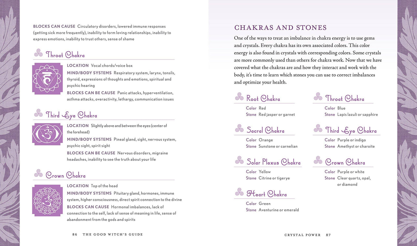 Hachette Book Group - Good Witch's Guide by Shawn Robbins