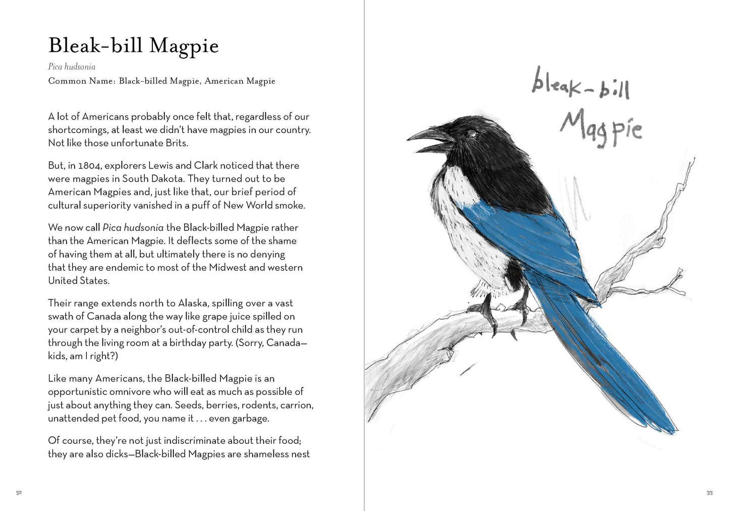 Dumb Birds Field Guide to the Worst Birds Ever - Chronicle Books