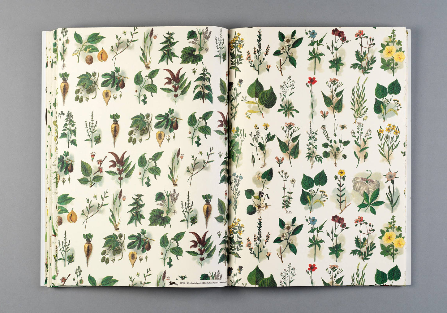 Pepin Press - Flora Gift & Creative Paper Book
