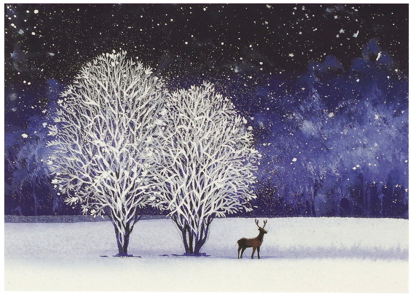 Peter Pauper Press - Starry Night Deluxe Boxed Holiday Cards