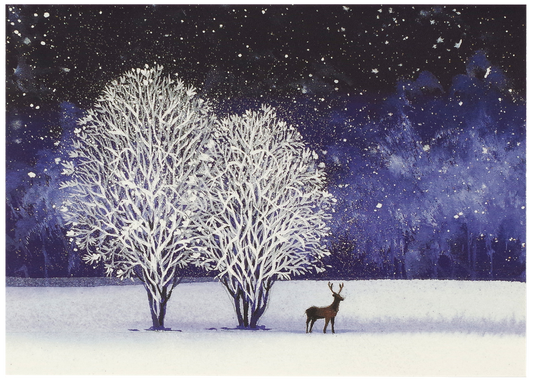 Peter Pauper Press - Starry Night Deluxe Boxed Holiday Cards