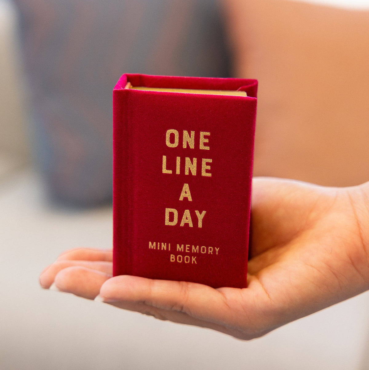 Chronicle Books - Rose Velvet Mini One Line a Day
