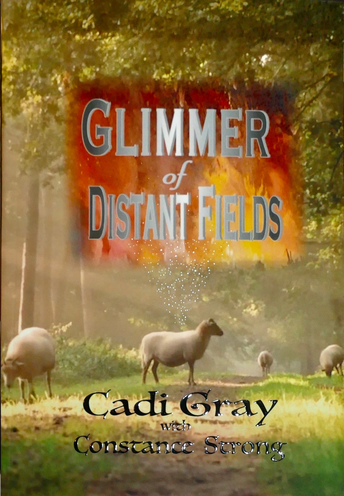 Glimmer of Distant Fields, A Wool Merchant's Sojourn by Cadi Gray (with Constance Strong)