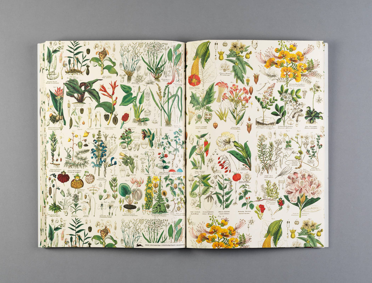 Pepin Press - Flora Gift & Creative Paper Book