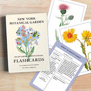 New York Botanical Garden Wildflower ID Flashcards - Stomping Grounds