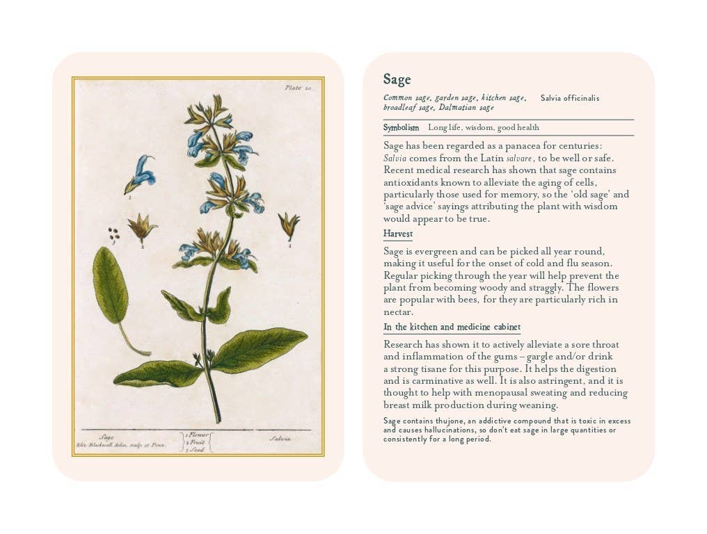 Hachette Book Group - Healing Plants