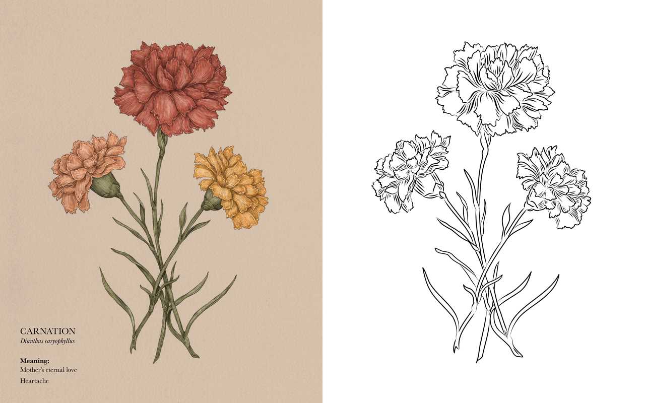 Floriography Coloring Book by Jessica  Roux: Paperback