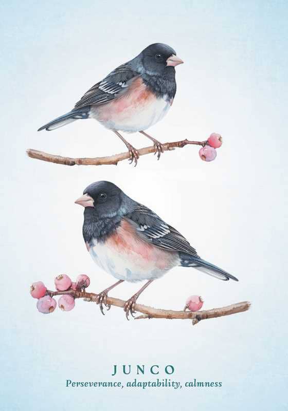 Simon & Schuster - Spiritual Meaning of Birds Oracle Deck by Arin Murphy-Hiscock: Flashcards; 50 pages / English