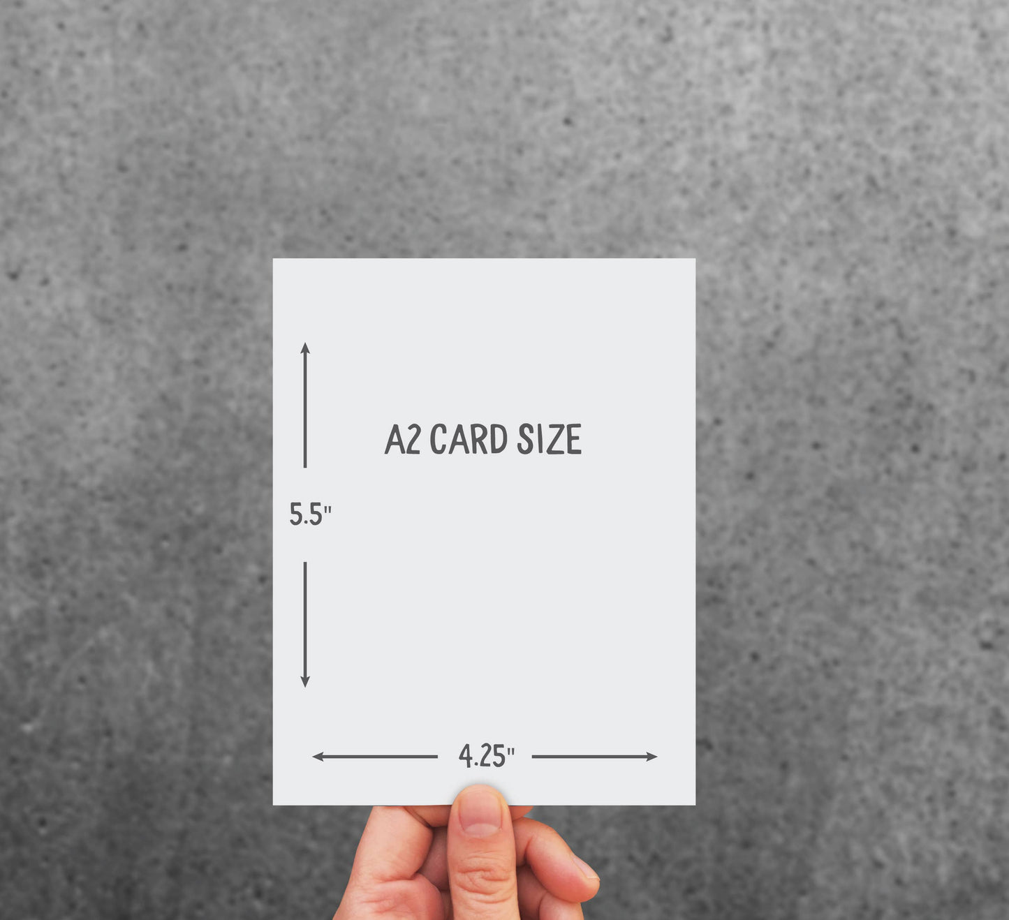 Modern Printed Matter - Holy Hell Trump "Dr" Long Year Card - Box of 8