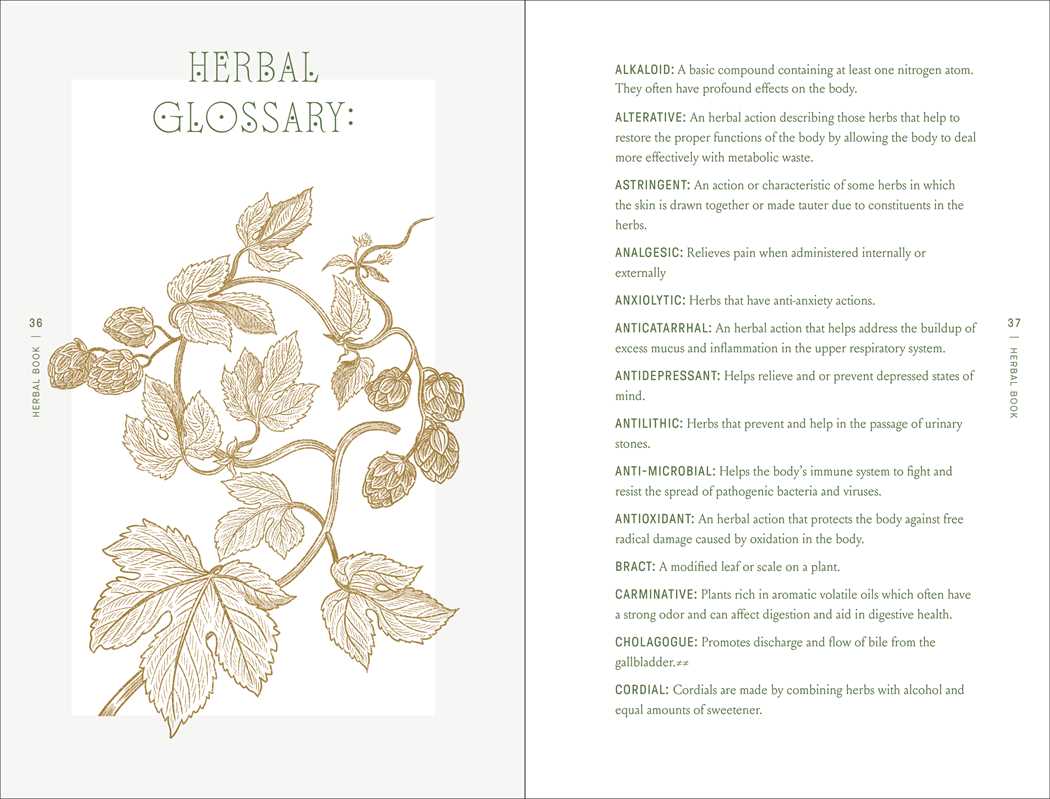 Complete Folk Herbal by Rebecca Beyer