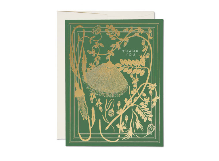 Red Cap Cards - Sage - Notecard - Stomping Grounds