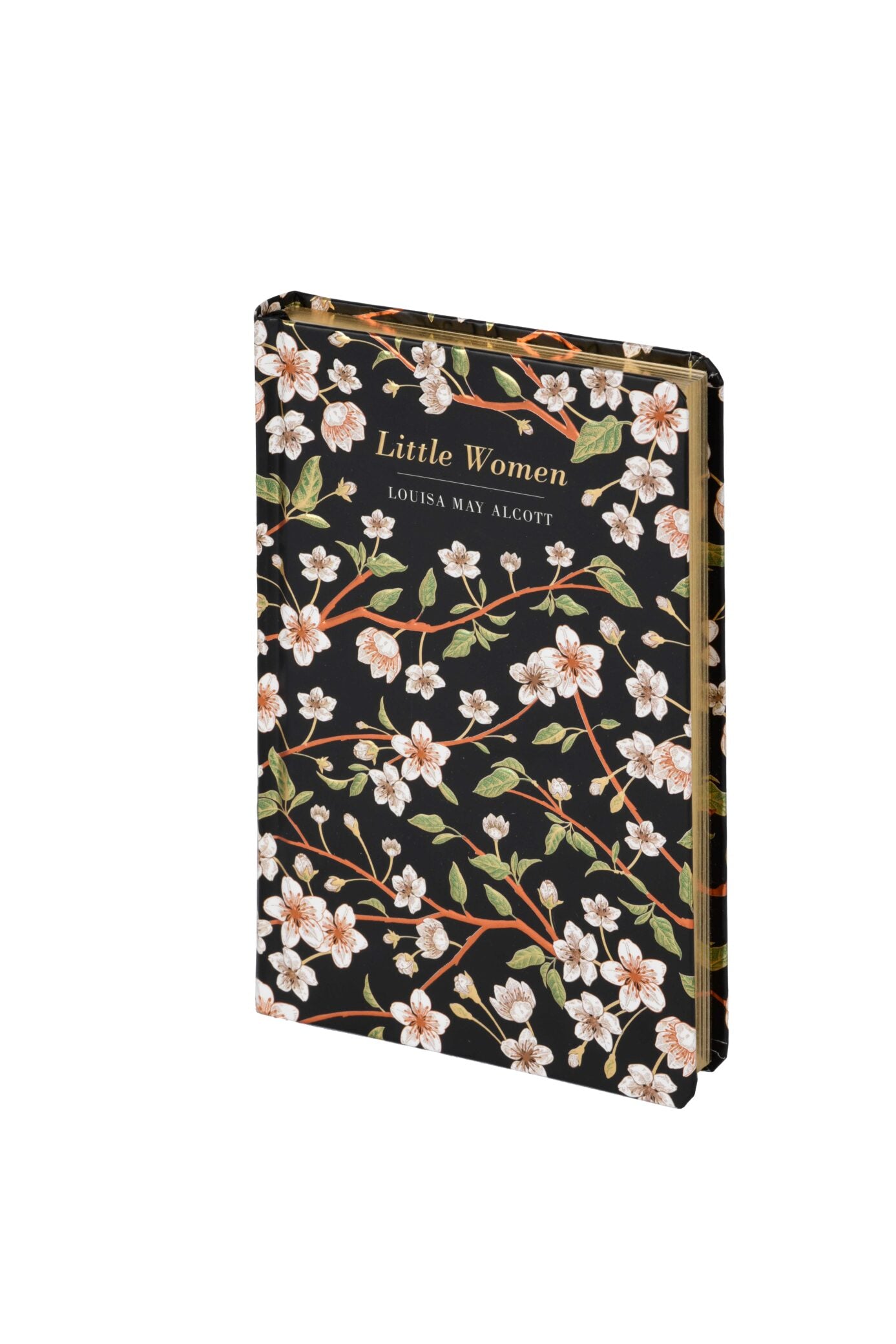 Little Women by Louisa May Alcott (Chiltern Classic)