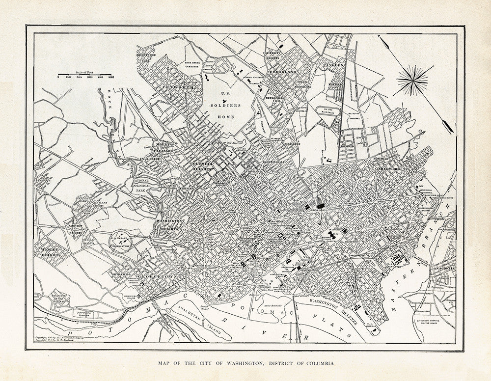 Map of The City of Washington, District of Columbia - Print - Stomping Grounds