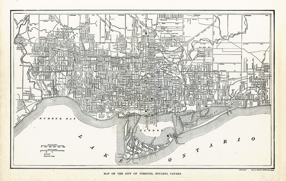 Map of The City of Toronto, Ontario, Canada - Print - Stomping Grounds