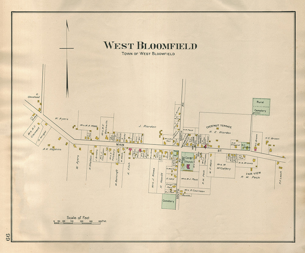 Town of West Bloomfield - Print - Stomping Grounds