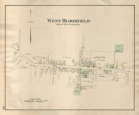 Town of West Bloomfield - Print - Stomping Grounds
