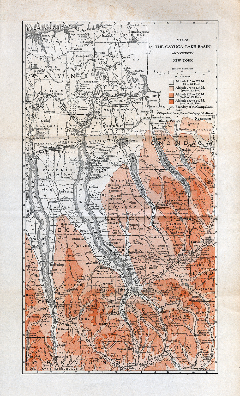 Map of the Cayuga Lake Basin and Vicinty - Print - Stomping Grounds