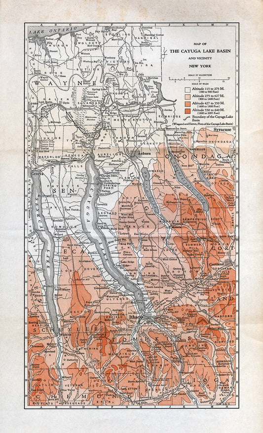Map of the Cayuga Lake Basin and Vicinty - Print - Stomping Grounds