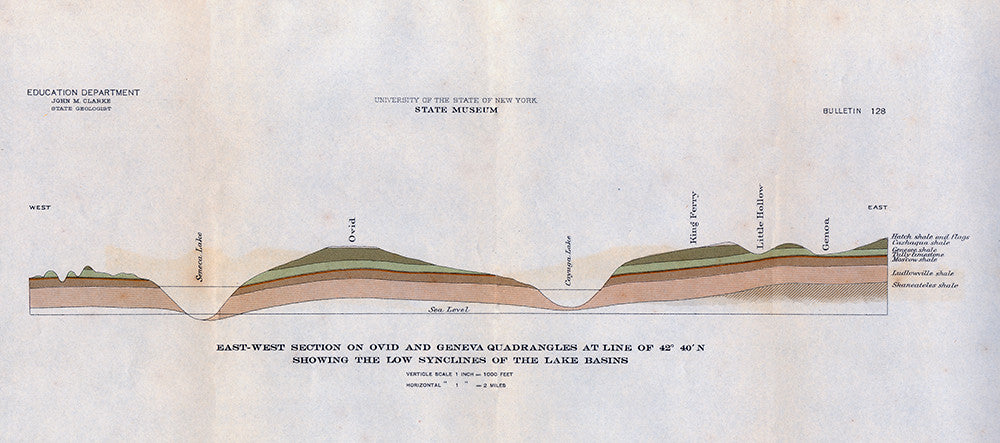 Geological Cross section of Seneca and Cayuga Lakes - Print - Stomping Grounds
