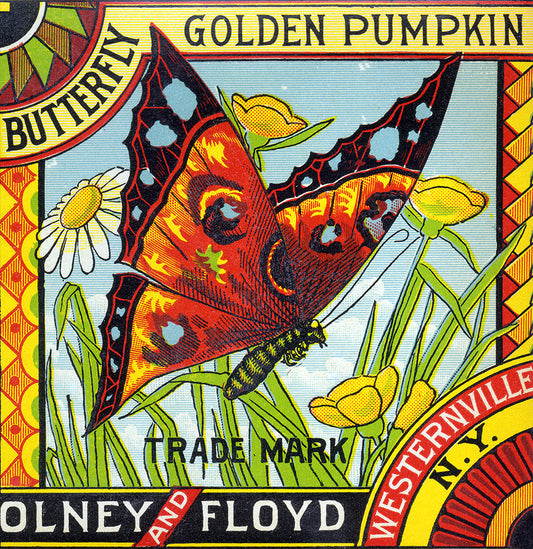 Golden Pumpkin II- Butterfly - Print - Stomping Grounds