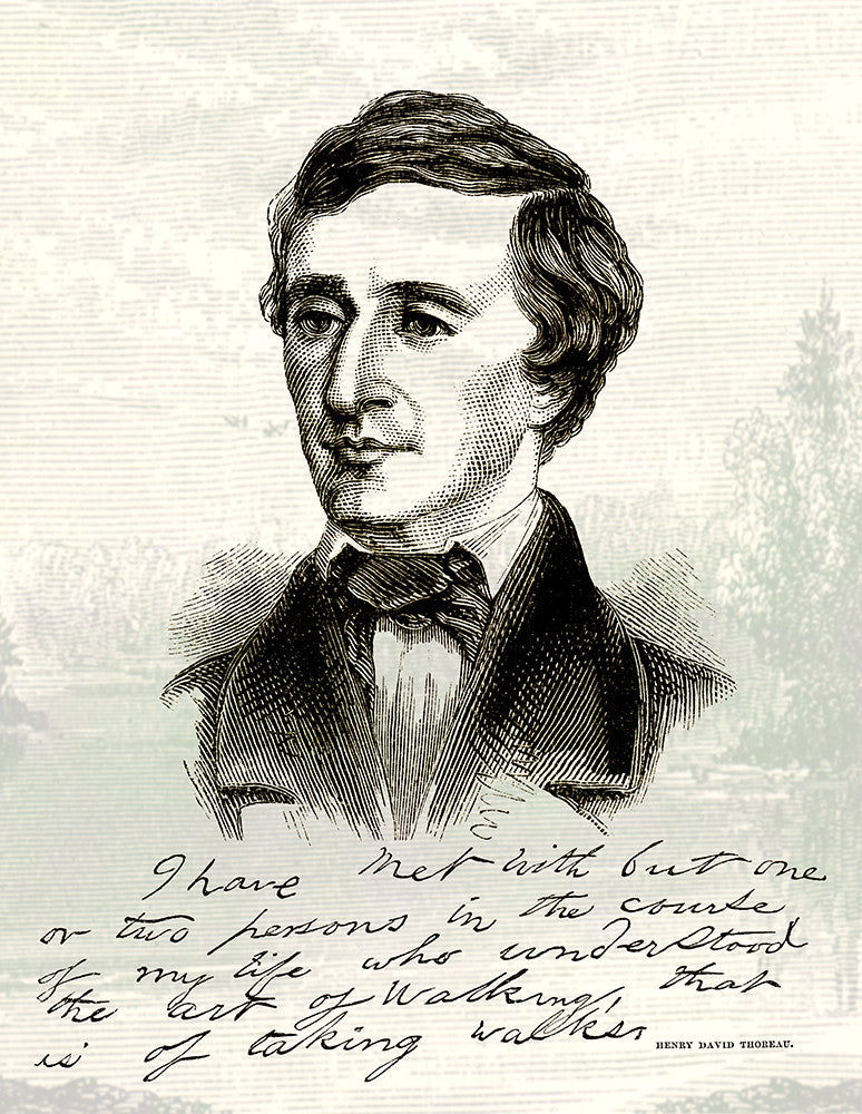 Henry David Thoreau - Print - Stomping Grounds