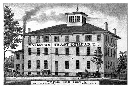 Waterloo Yeast Company - Print - Stomping Grounds