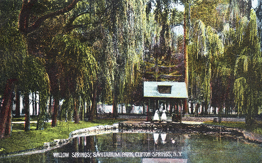 Willow Springs, Sanitarium Park, Clifton Springs NY - Print - Stomping Grounds