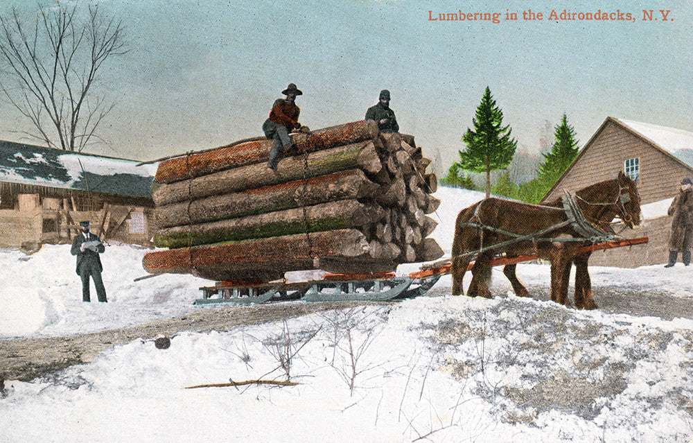 Lumbering in the Adirondacks, NY - Print - Stomping Grounds