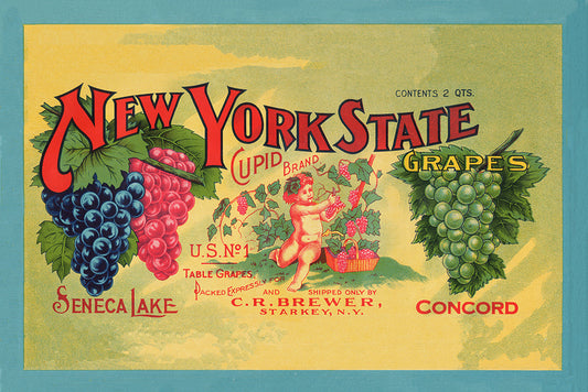 Cupid Brand Grapes - Print - Stomping Grounds
