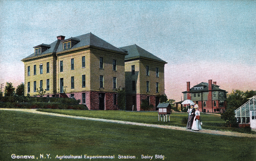 Geneva, NY., Agricultural Experimental Station, Dairy Building - Print - Stomping Grounds