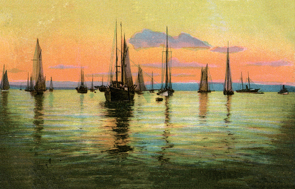 Seneca Lake Sailboats II - Print - Stomping Grounds