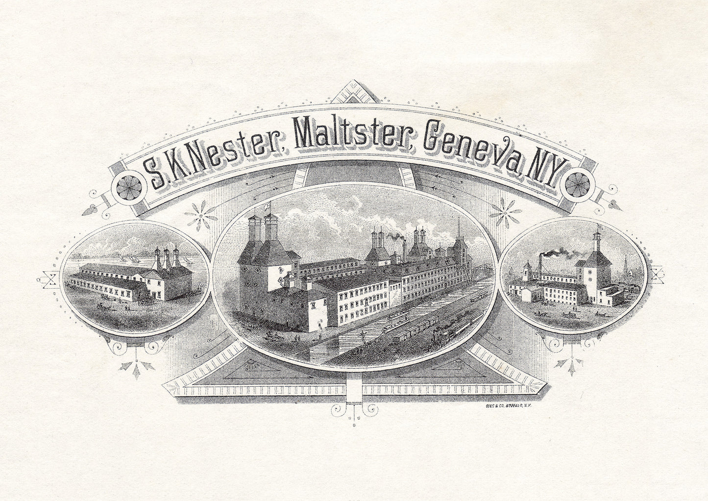 S. K. Nester, Maltster, Geneva, NY - Letterhead Graphic - Print - Stomping Grounds