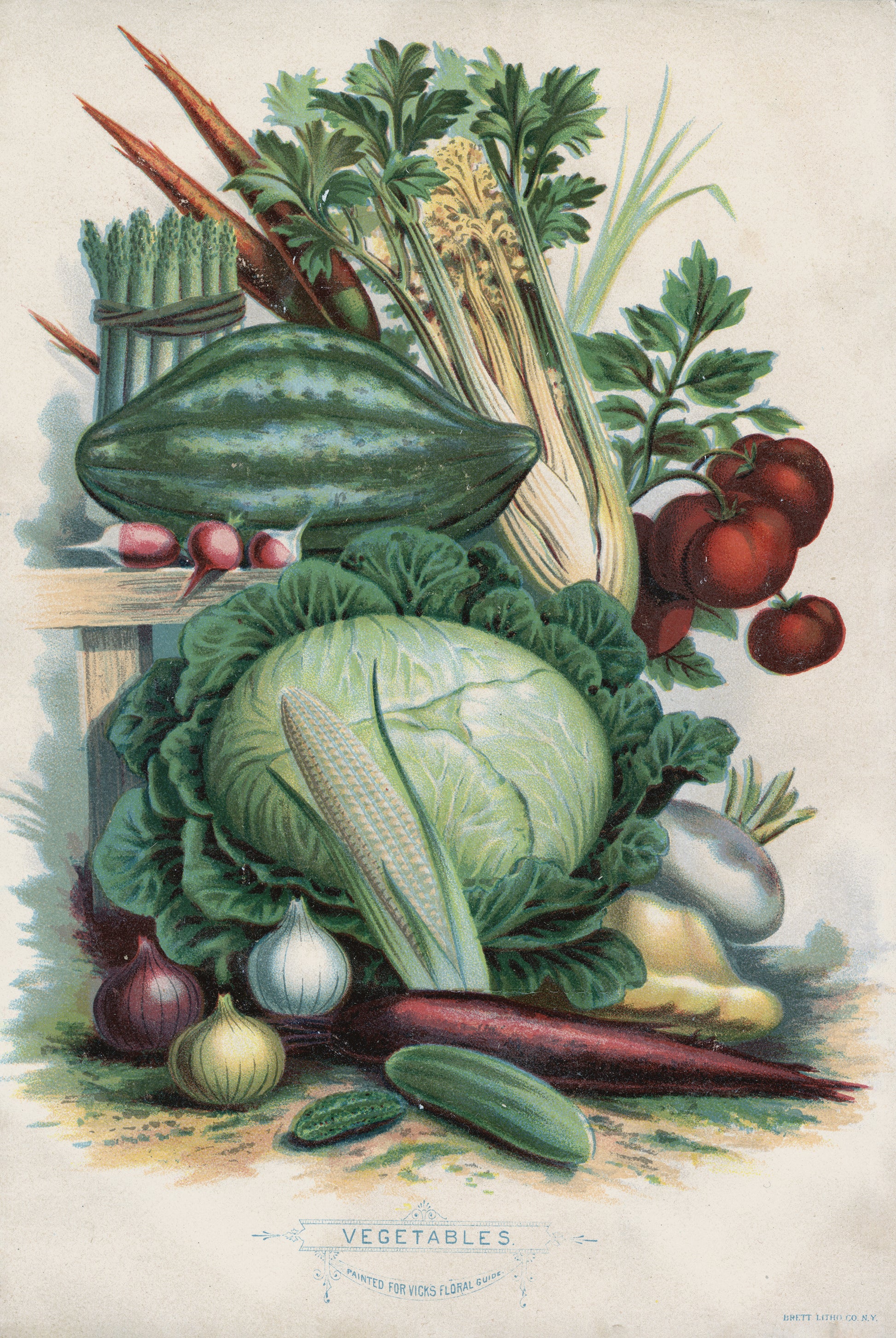 Vegetables - Print - Stomping Grounds