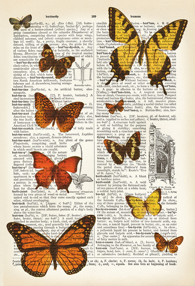 Dictionary Art, Butterflies - Print - Stomping Grounds