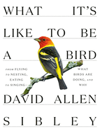 What It's Like to Be a Bird: From Flying to Nesting, Eating to Singing--What Birds Are Doing, and Why ( Sibley Guides ) by David Allen Sibley