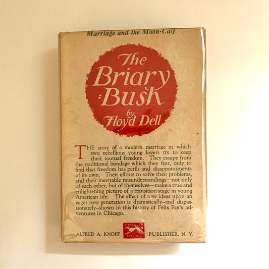 Vintage Book- The Briary Bush by Floyd Dell