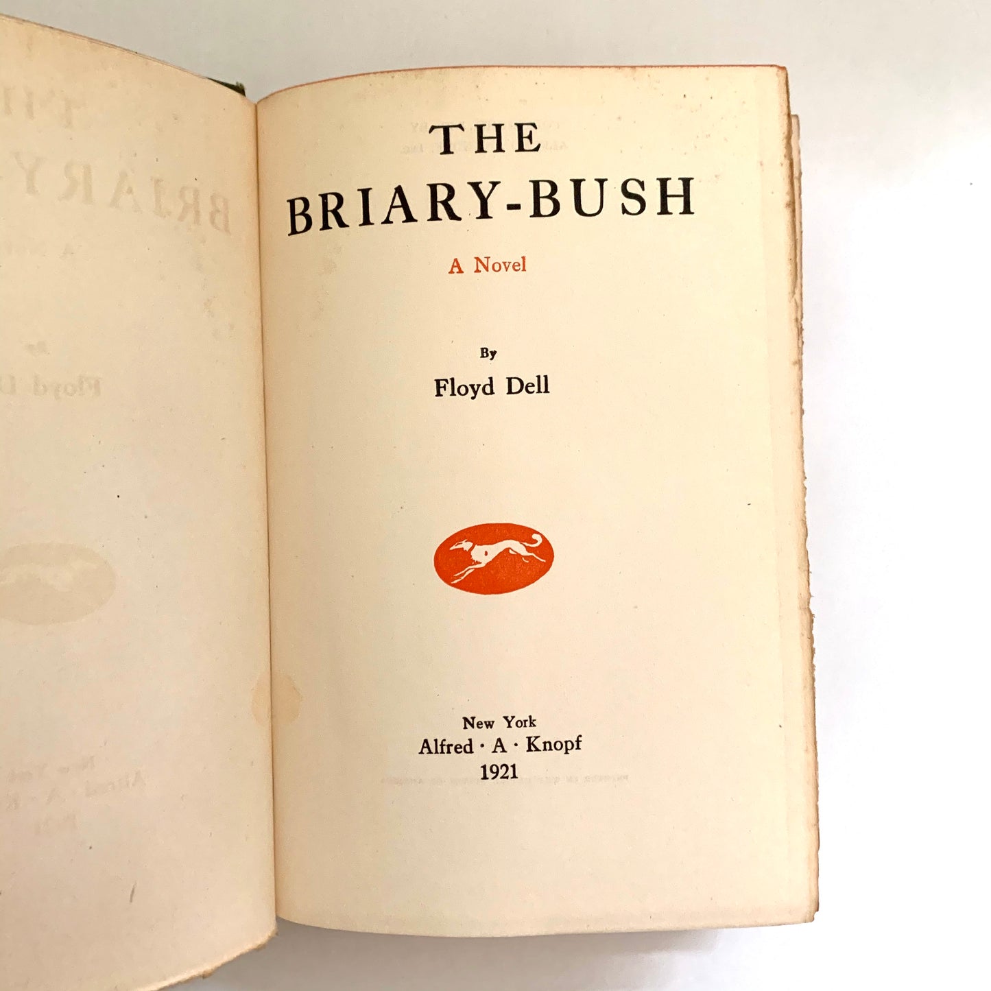 Vintage Book- The Briary Bush by Floyd Dell