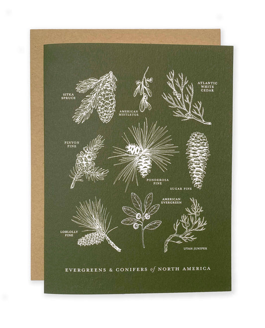 The Wild Wander - Evergreens and Conifers of North America Greeting Card