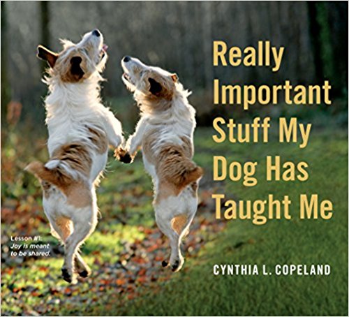 Really Important Stuff My Dog has Taught Me - New Book - Stomping Grounds