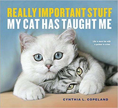 Really Important Stuff My Cat Has Taught Me - New Book - Stomping Grounds